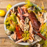 Krabba, hummer, havskräftor, räkor och ostron | Foto: Michael Krantz